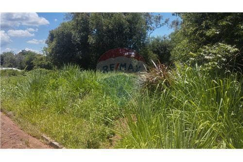 Venta de Terreno