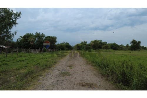 Vendo 29 ha a 10 min del Centro de Villa Hayes