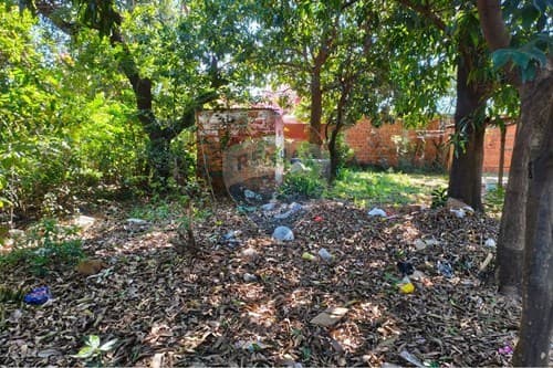 ¡Terreno en Lambaré: Inversión Ideal! — foto 4