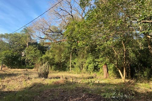 Terreno En Venta, foto 5