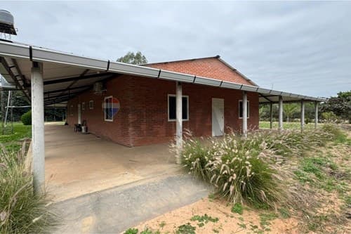 Casa en Alquiler – Osterwick, Loma Plata, foto 4