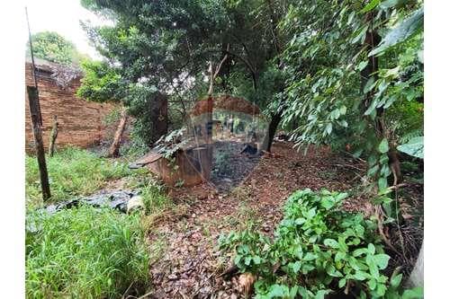 terreno zona CIT (Campo Grande) — foto 4