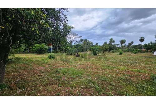 Terreno en Pirayu media hectárea — foto 4