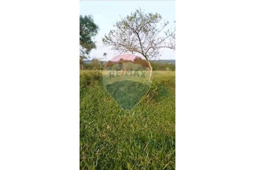 Inversión en Campo de 20 has. en Ybycu´í — foto 2