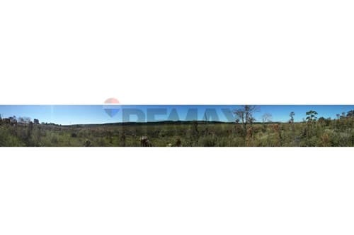 Terreno en venta Caaguazu Dr. Juan Manuel Furtos — foto 4