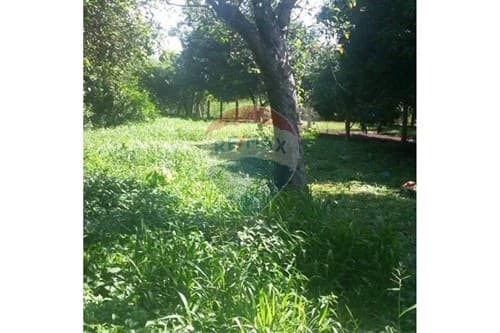 "Inversión Perfecta: Terreno Ideal en Obligado"