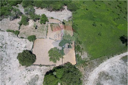 Campo 3.749 Has. 7800 m2- Pte. Hayes Ruta Ñ — foto 2