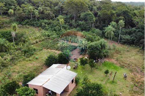 ¡3 Terrenos Juntos en Isla Valle, Areguá!