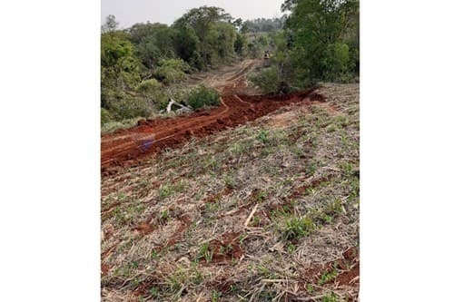 Ubicación estratégica: 11 ha con agua y bosque — foto 1