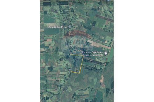 18 Hectares de pura naturaleza, apto para pastoreo