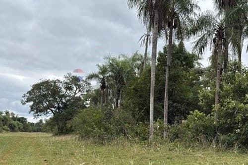 Oferta de Terreno: Tu Futuro En Caacupé Espera — foto 4