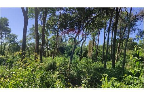 Terreno en Ita Angu´a Arroyo Pora — foto 2