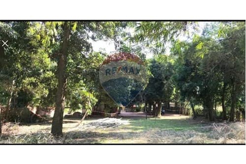 Gran Terreno en Guarambaré ¡Ideal Ubicación! — foto 2