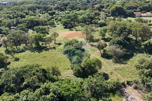 Terreno de 1 Hectárea Zona CIT — foto 4