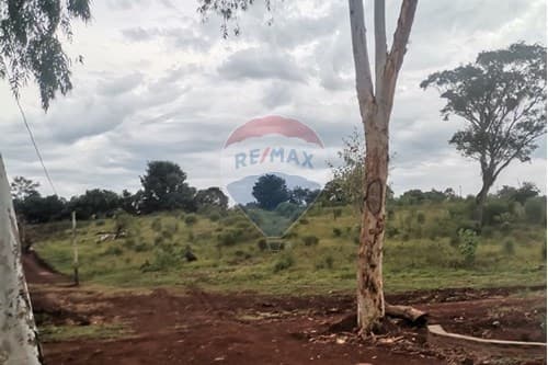 "Terreno Estratégico en Capitán Miranda, Itapúa" — foto 3