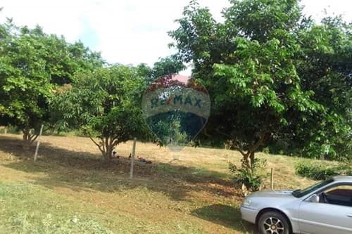 Amplio terreno en itauguá — foto 2