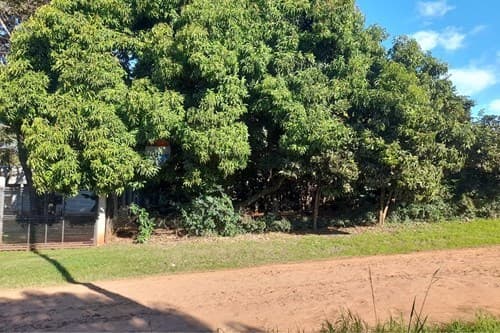 Terreno en cambyreta la amistad — foto 3