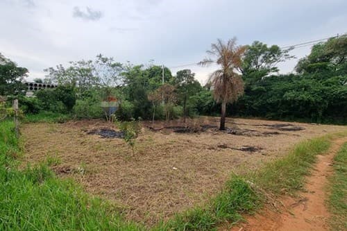 Terreno en Luque - zona rakiura — foto 4