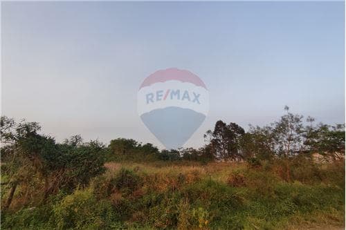Terreno a metros de la ruta transchaco — foto 4