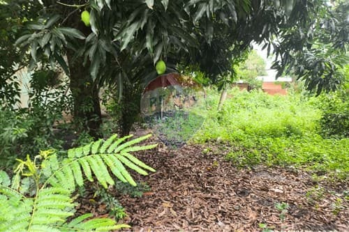 Terreno en zona Alta Avenida San José, foto 4