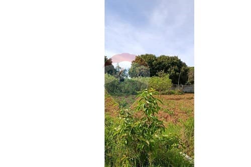 4 terreno en itaugua — foto 5