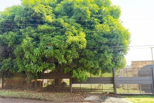De terreno - obligado — foto 2