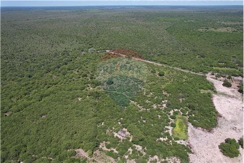 Campo 3.749 Has. 7800 m2- Pte. Hayes Ruta Ñ, foto 4