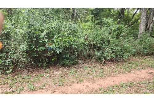 Vendo terreno en ypacarai mbocajaty 2957 m2