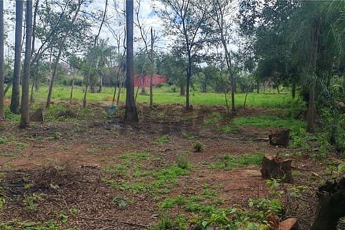 Terreno en venta – cabañas, caacupé, foto 4