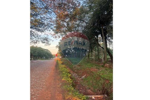 Inversion inmo 10ha fte a colegio /tobati — foto 5