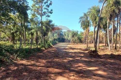 Terreno en Itauguá: 19,000 m² para Inversiones — foto 2