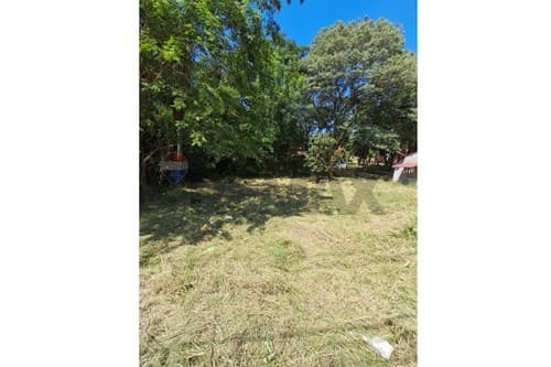 Terreno-Venta Ruta Luque-Sanber, Itanagu´a, Luque — foto 5