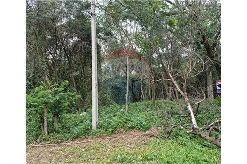 Venta de Gran Terreno en Urbanización Surubi'i