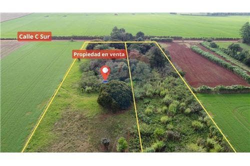 Propiedad agrícola de 4 has con 7.333 m2