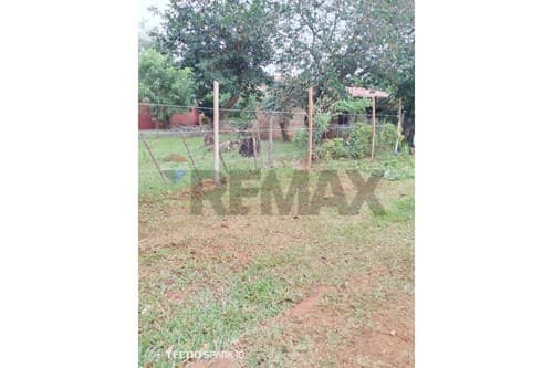 De terreno en Luque — foto principal