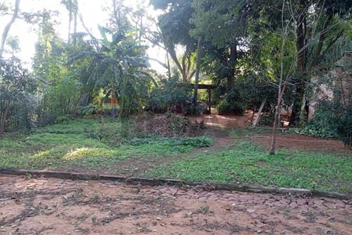 Terreno en venta en Ñemby, foto 2