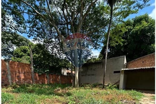Amplio inmueble - zona Ñemby — foto 5
