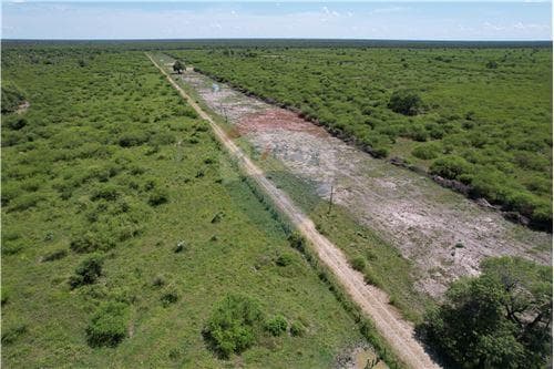 Venta Campo 3.749 Has. 7800 m2- Pte. Hayes Ruta Ñ