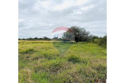 Inversión Ideal: Terreno Amplo en Filadelfia — foto 5