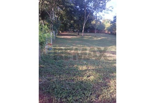 Espectacular terreno en capiata — foto 3
