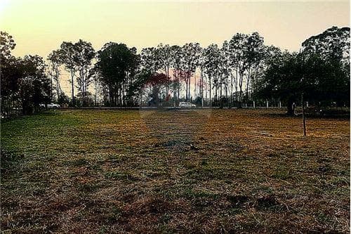 Oportunidad de inversion terreno con 1 hectarea — foto 3