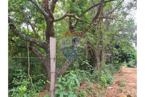 terreno en Costa Pucu - Caacupe — foto 4