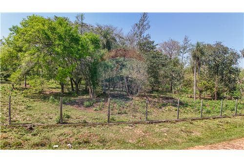 Lotes a metros de la ruta Luque - sanber — foto 4