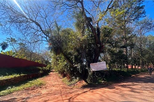Propiedad de 1 ha con 1.093 mts2 en Capiatá ruta 2, foto 2