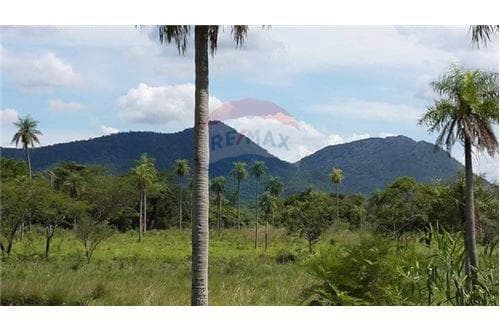 Hemosa quinta en carapegua de 10 has — foto 4
