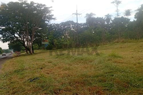 Vendo terreno de 4 ha en guayaibi - san pedro