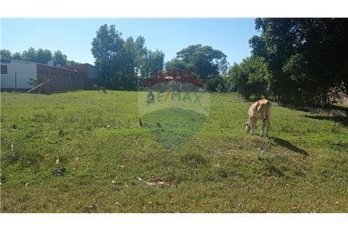 Terreno en Villa Florida — foto 5