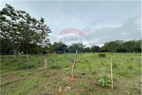 Terreno 5.000 m2 a 350 metros de Ruta 2 - Caacupe — foto 5
