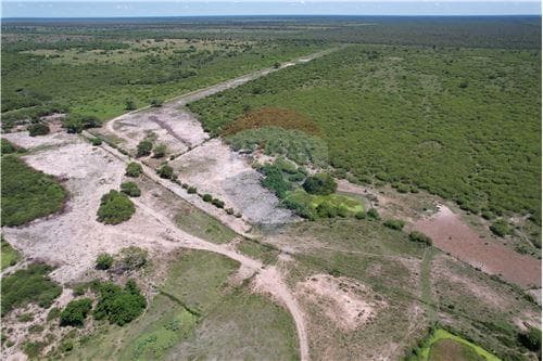Campo 3.749 Has. 7800 m2- Pte. Hayes Ruta Ñ, foto 3