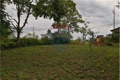 750 m2 de terreno a 13 km de Encarnacion — foto 3